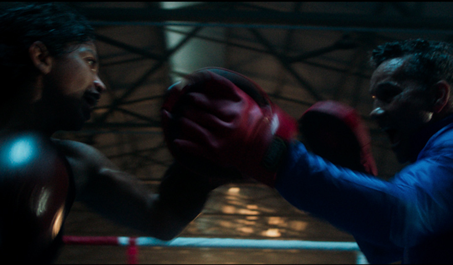 BOXE BAHIA